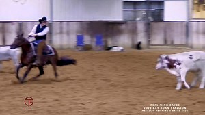 ‼️ Sneak Peek Alert ‼️ ♦️Real Mink Baybe♦️ (Metallic Rey Mink x Baybe Blue) Hip #2101 in the 2025 Western Bloodstock LTD. 2yo sale. 🎥 S. Sylvester Photography #WesternBloodstock #2yo #sale #MetallicReyMink #GastineauCuttingHorses | Gastineau Cutting Horses