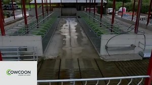 New Diary in Limerick completed with our Cowcoons, Mattresses & @agrikit2020 feeding gates. Video by @alfco1978 #cowschoose #teamdairy #teamdairyuk #cowsignals #cowcomfort #lovecows #agri #agriculture #cowcoons #cowsofinstagram #cowsofinsta #cowsofig #comfycows #dairyfarming #farming #zootecnia #dairydonewell #stalla #agro #instafarm #dairyfarm #holstein #happyfarmer #dairystong #dreamdairy #teamdairy247 #aglife #dairylife #farmlife | Wilson Agriculture