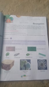 What are microorganisms? How are they classified?... | Filo