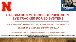 Calibration Methods of Pupil Core Eye Tracker for 3D Systems
