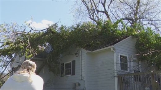 Graham family cleaning up after tree falls on home: ‘Lucky to be alive’
