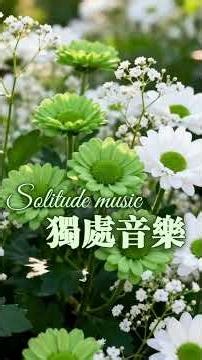 #独处音乐 #最极致助眠 #好聽的音樂 #relax #flowers #music #放鬆音樂 #花園鋼琴 #piano #早晨音樂 #疗愈歌曲 #healingmusic