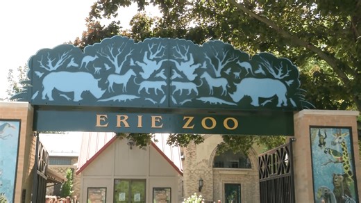 Erie Zoo in danger of closing without response from city on transferring ownership