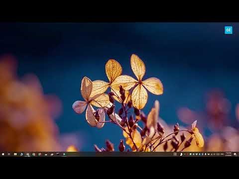 How to disable taskbar item rearranging on Windows 10