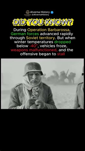 The Battle Against Winter #history #historytok #historycomesalive #historia #youtubeshorts #facts