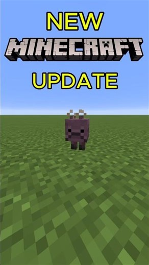 New Minecraft Update #minecraft #minecraftvideos #minecraftupdate