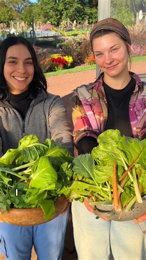 Fall gardening doesn’t require a backyard. 🌱 Whether you’re planting herbs on a balcony or harvesting greens on your porch, Root Pouch grow bags make it effortlessly rewarding. Take it from the experts at Fordhook Farm, a Burpee trial station, and what they planted in their grow bags this fall. 🍂 | Burpee Gardening