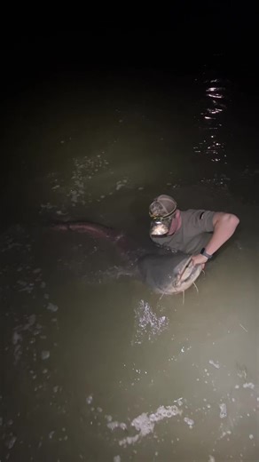 Giant Catfish Adventure in Mequinenza, Spain