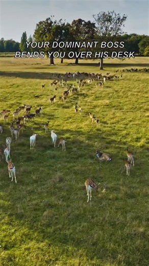 YSF | Bent over the desk | Instagram