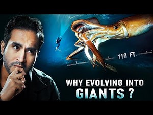 Why Are SEA CREATURES Evolving into Giants?