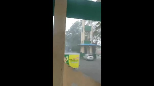 Electricity substation explodes sending tree crashing to the ground