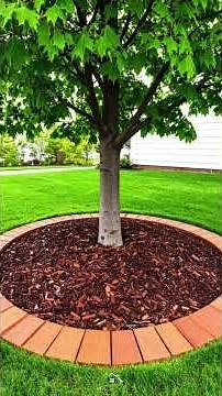 15+ Landscaping Around Trees Ideas | Beautiful Tree Landscaping Designs