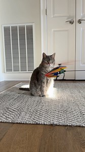 175K views · 1.3K reactions | Sundays are always relaxing with the Blade RC Revolution 90 FP.  This Ready-To-Fly indoor RC helicopter is excellent for new pilots because it also includes a free trial version of RealFlight Trainer Edition! #HorizonHobby #BladeRC #Revolution90FP #RCHelicopter #RCTrainer #RadioControl | Horizon Hobby | Facebook