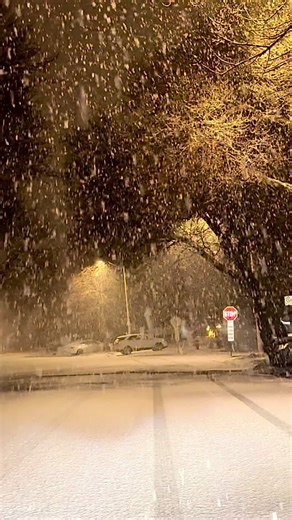 Heavy Snowfall in Canada