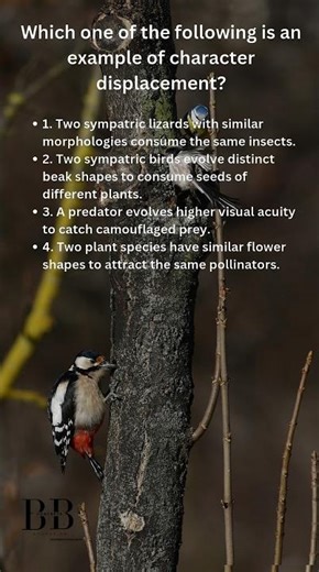 Character displacement #biology #biologyshorts #csirnet #youtubeshorts #yt #ytshorts #youtubevideo