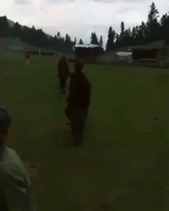 6.8K views · 49 shares | Fairy Meadows, Gilgit Baltistan . Video by @thenorthdrive | HUNZA | Facebook