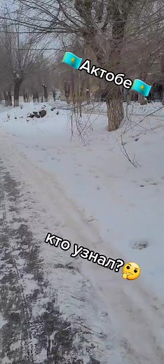 Exploring a Snowy Residential Landscape