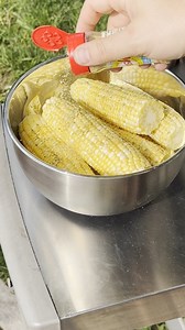 There’s no corn-fusion… Dash Ultimate Garlic is the PERFECT seasoning for corn-on-the-cob 🌽 Who agrees? #nationalcornonthecobday | Mrs. Dash