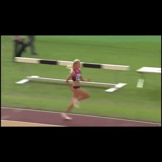 Long Jump Flight Styles (Hitchkick, Hang, Stride)