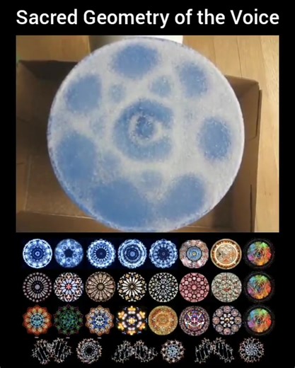 1.8K views · 40 reactions | This specific frequency reveals the Star...