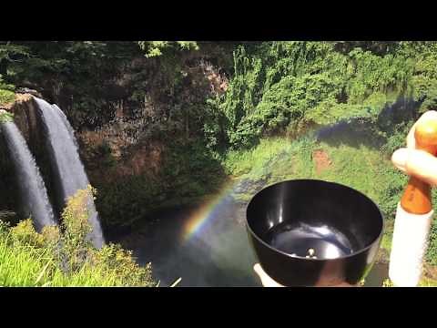 シンギング・リン とは？