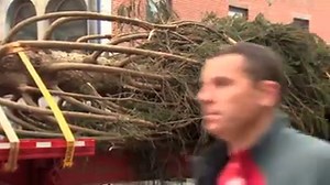 It's here, it's here! It may not feel like the holidays yet, but the 85-foot tall, 10-ton Norwegian Spruce arrived at Faneuil Hall Marketplace today! http://cbsloc.al/2fjxSWh | WBZ / CBS News Boston