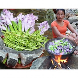 681K views · 7.2K reactions | Catch and Cook Fish soup with Water lily for Lunch food ideas - Awesome Chef ------------------------------------ Credit By Food my village | Awesome Chef | Facebook