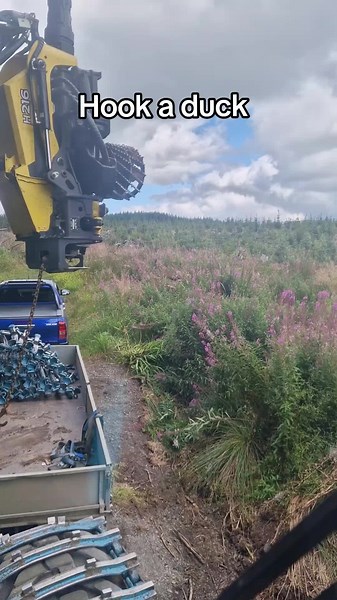 Lazy Days in Forestry: Finding Fun with John Deere