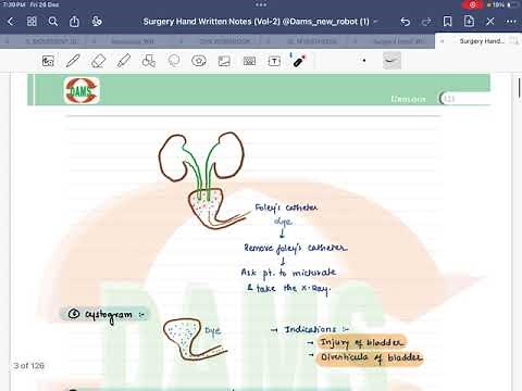 Investigations in Urology