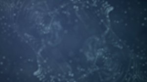 DISCOVERY AND THE OATH ━━━━━━━━━━━━━━⚔️ VIKING CODE ━━━━━━A warrior does not follow horns in the mist. I watch, wait, and strike only when ground is solid. In crypto since 2019, I have seen too many empty promises sink. Never bent my knee to hype.🌊 THE DISCOVERY OF PERLE LABS ━━━━━━━━━━━━━━━Today, while scanning the horizon, I saw a structure not built on sand @PerleLabs. At first, I thought it was just another AI project screaming for attention. But when I entered their https://t.co/Qf9QR1IDdk