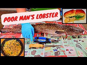 How to Fillet Burbot & Make Poor Man's Lobster Roll
