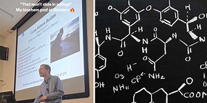 Canadian professor teaches biochemistry concepts through brilliant pop song parodies