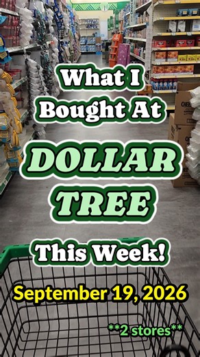 What I Bought at Dollar Tree This Week! Multiple Stores in PA! Part 2 - September 19, 2026