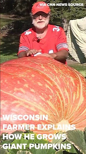 Wisconsin farmer explains how he grows giant pumpkins