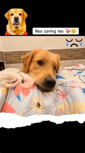 Reo caring our father leo 🥹‪@AnantRastogi‬ 💔 #likeforlikes #trending #viral #subscribe