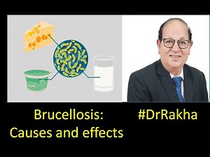 Brucellosis: Causes and effects #DrRakha