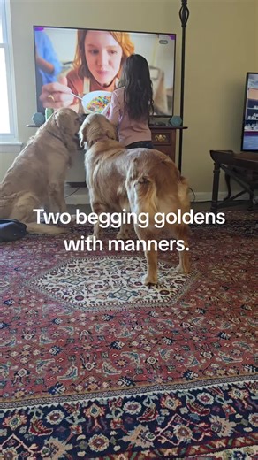 The Golden Family (@_the_golden_family_)’s videos with The Thing Is - Ty Simon