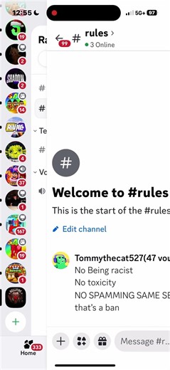 Discord server raiding