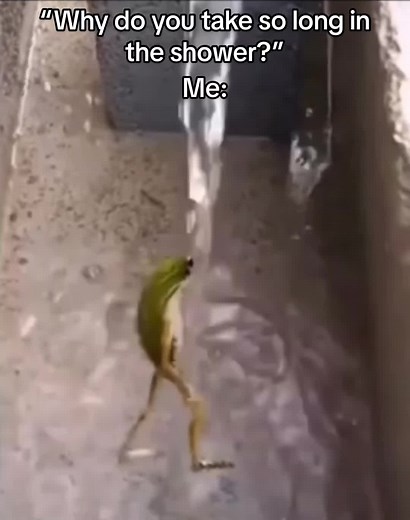 Funny Dancing Frog Shower Meme