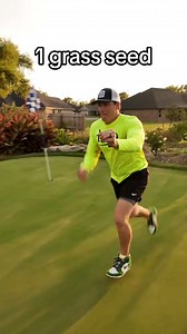 Running with more and more grass seed. #runchallenge | The Lawn Tools