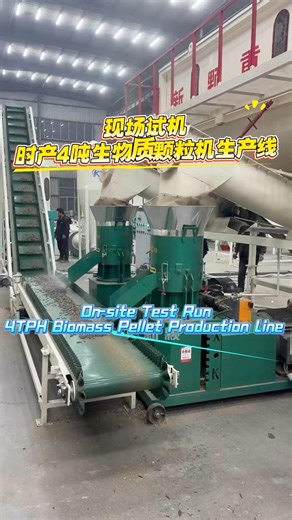 4TPH Biomass Pellet Production Line | On-site Test Run #pelletmachine #pelletmill #pellets