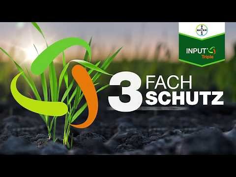Input® Triple - Getreidefungizid gegen frühe Getreidekrankheiten