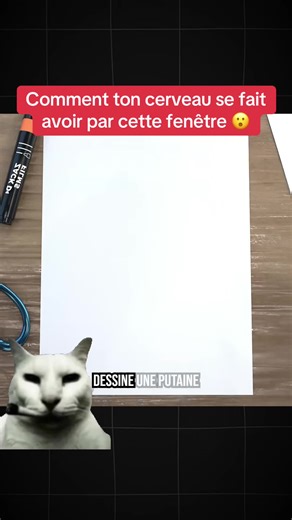 Comment ton cerveau se fait avoir par cette fenêtre 😮 #education #explication #science #psychologie