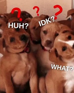 Paperless Payroll: A Key Component of Sustainable Timekeeping