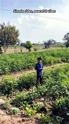 Visit to fields | PSM Xplore #travel #shortsfeed #trending #nature #field #bicycle #ride #yt
