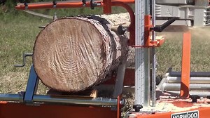 46K views · 1K reactions | Convert logs into valuable timber with your chainsaw and the ultra-portable PortaMill PM14! Easy to assemble, use, store & transport. | Norwood Portable Sawmills | Facebook