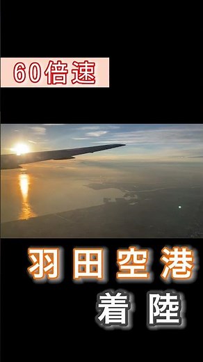 【60倍速】夕焼けの羽田空港に着陸 landing for Tokyo haneda airport #hanedaairport #landing #shorts