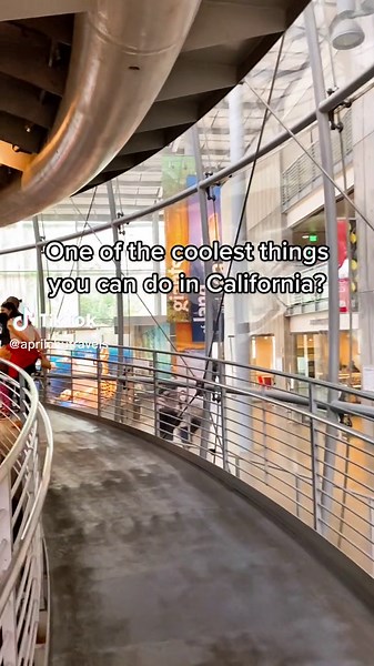 A rainforest in the middle of SF? #sanfrancisco #sfbayarea #california #explorecalifornia #visitcalifornia #travelcalifornia #mustvisitplaces #placestovisit #coolthingstodo #rainforest #museum #californiaacademyofscience #calacademyofscience #indoorrainforest