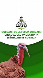390 reactions · 9 comments | La Ferma lui Matei, curcanii 旅 sunt...