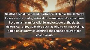 Discover Oasis in the Desert: Top 10 Famous Lakes in the United Arab Emirates
